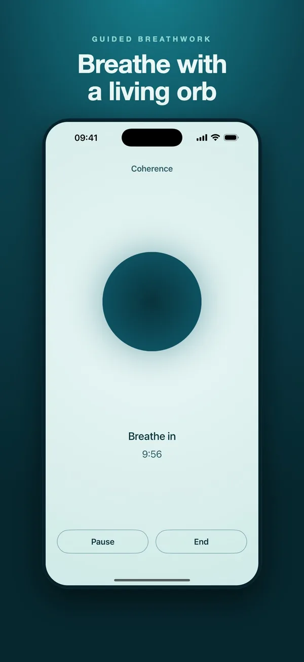 Hale screen 2